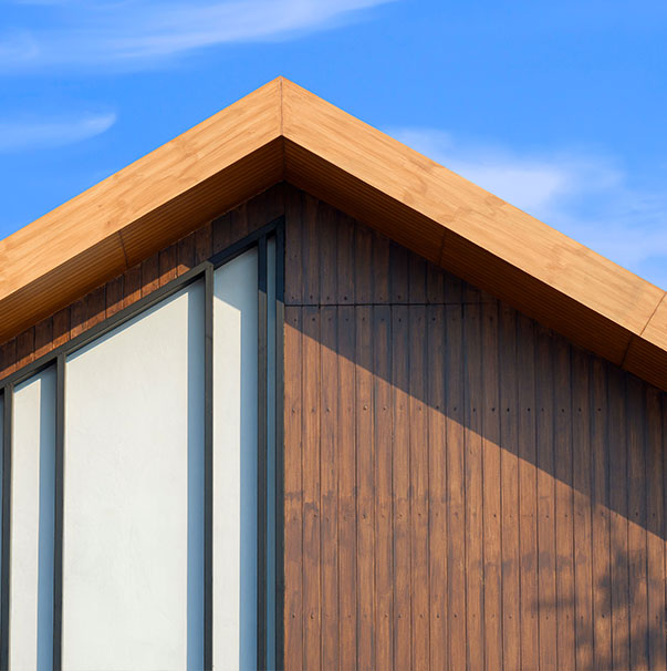 Paneles de pared/paneles decorativos